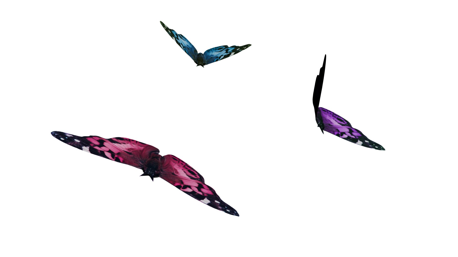 Butterfly 3D https://p.turbosquid.com/ts-thumb/Eh/KJCkcH/zs/butterfly_04/png/1660105131/1920x1080/fit_q87/66bfa7e80bc9f62b2e8fe5edc4b54d1ec54b6577/butterfly_04.jpg