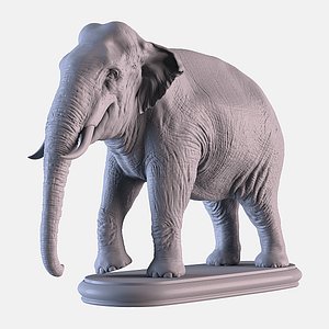Asian Elephant 3D model