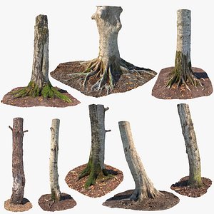 Forest Tree Trunks Collection StemCell 3D