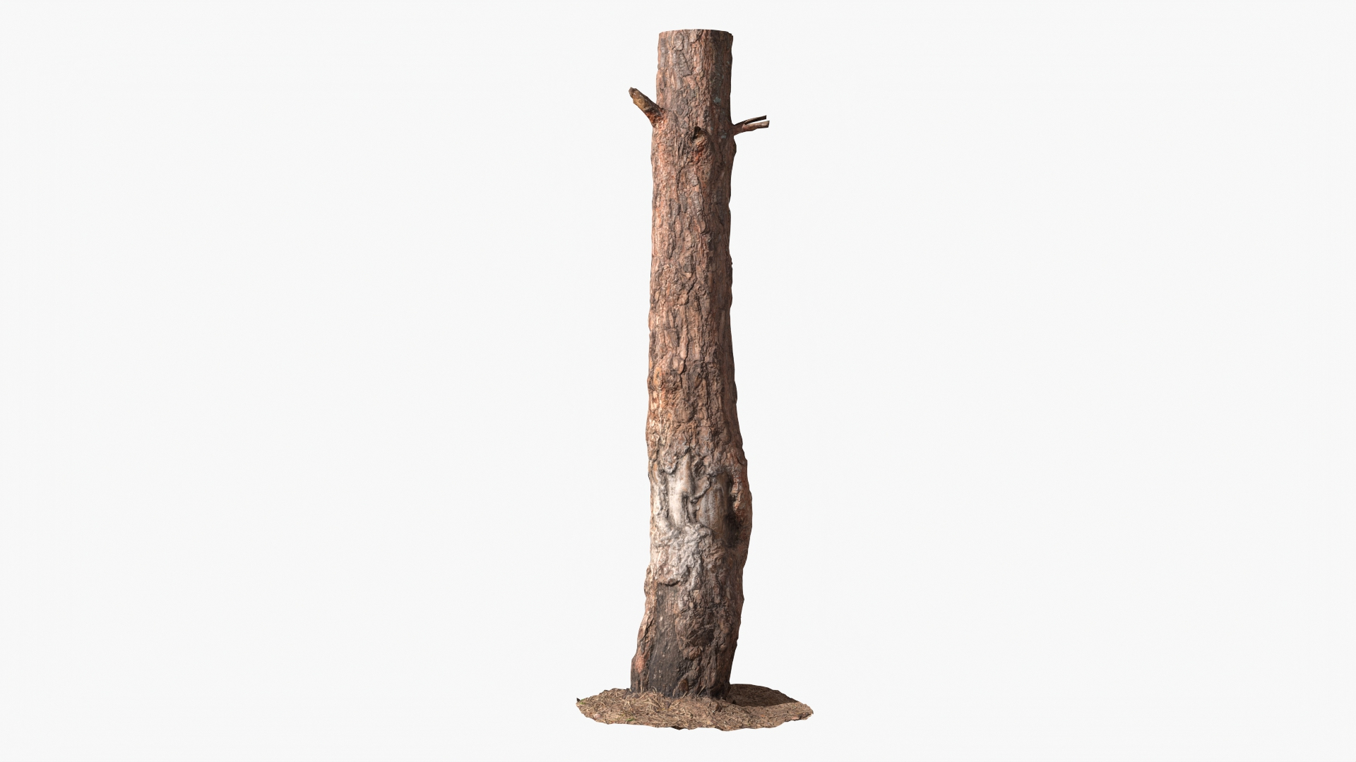 Forest Tree Trunks Collection StemCell 3D - TurboSquid 2297212