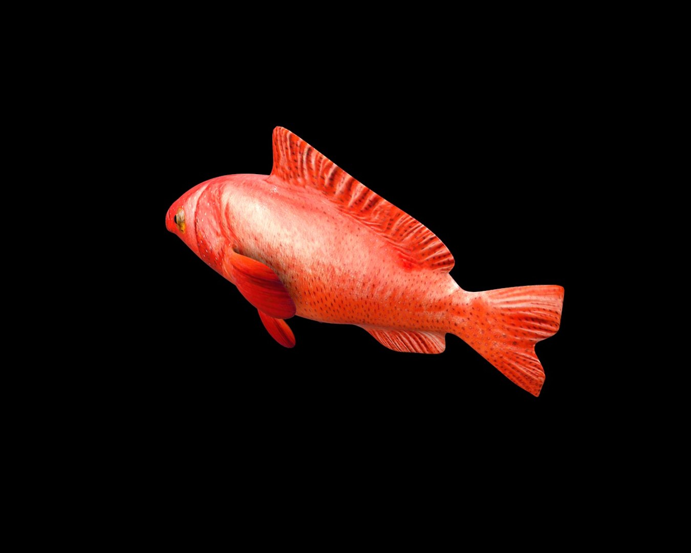 3D Grouper Fish - TurboSquid 1551920