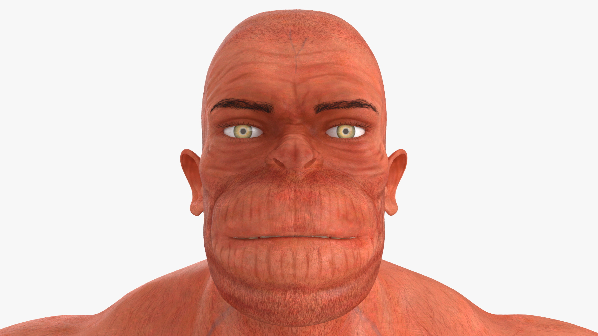 apeman hanuman - 3D model https://p.turbosquid.com/ts-thumb/Eh/hVNrOn/NRoYEvl1/apemanturnhead/jpg/1569406059/1920x1080/turn_fit_q99/7dbb4080e94d67fb7a537e18ec0230e71dcd7a3f/apemanturnhead-1.jpg