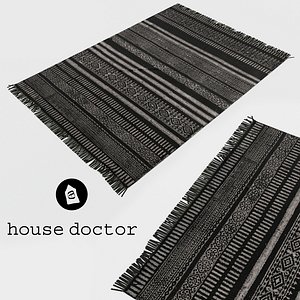3d carpet house doctor model