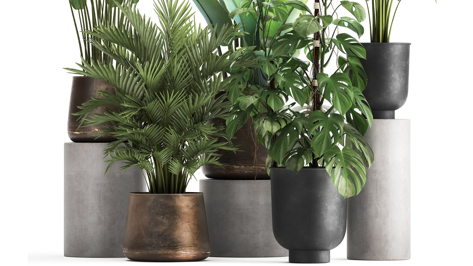3D PLANTS 18082021 3D MAX model https://p.turbosquid.com/ts-thumb/Eh/j6NR4D/4Q/1plants1808202103/jpg/1629377513/1920x1080/fit_q87/961a5d47298fbfe674928b6b0433ea0a6581e2ce/1plants1808202103.jpg