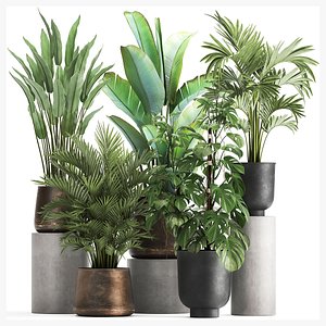 3D PLANTS 18082021 3D MAX model