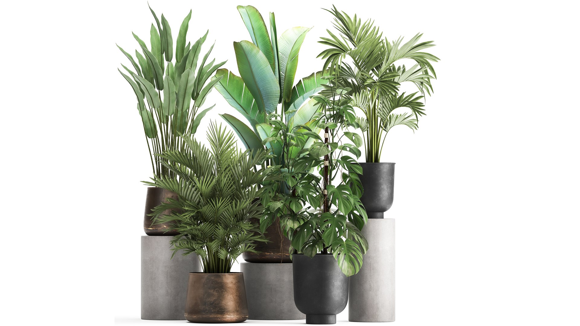3D PLANTS 18082021 3D MAX model https://p.turbosquid.com/ts-thumb/Eh/j6NR4D/pq/1plants1808202102/jpg/1629377514/1920x1080/fit_q87/9eec0728ea67082bc40f1bf2cb64e5b464ae3fd3/1plants1808202102.jpg