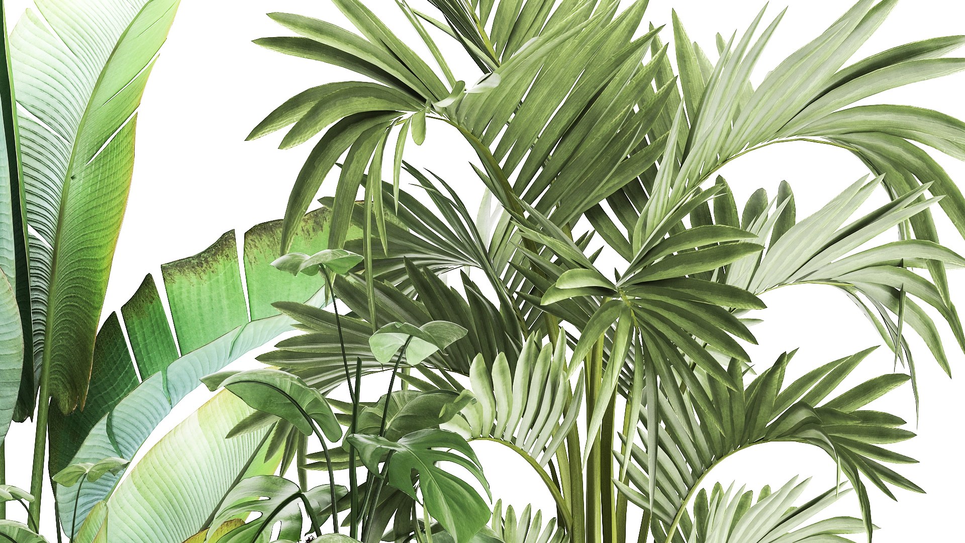 3D PLANTS 18082021 3D MAX model https://p.turbosquid.com/ts-thumb/Eh/j6NR4D/xW/1plants1808202106/jpg/1629377518/1920x1080/fit_q87/42d9aaa6b9419a684f9d0342cd28c5dbaae78ee5/1plants1808202106.jpg