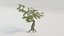3D tree twisted model