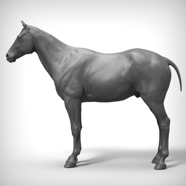 horse base realistic model