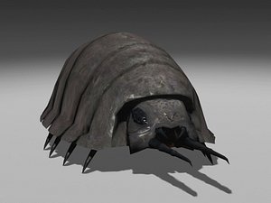 pill bug 3d model
