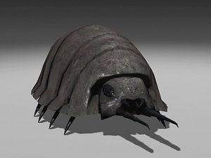 Monstrous Pill Bug 1