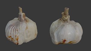 3D Garlic Bulb Scan
