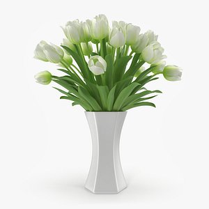 tulip vase max