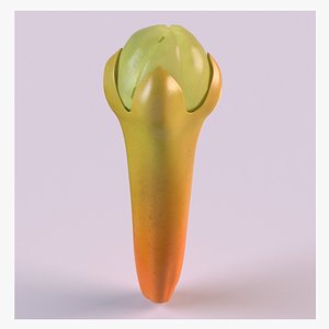 3D Clove spice bud model