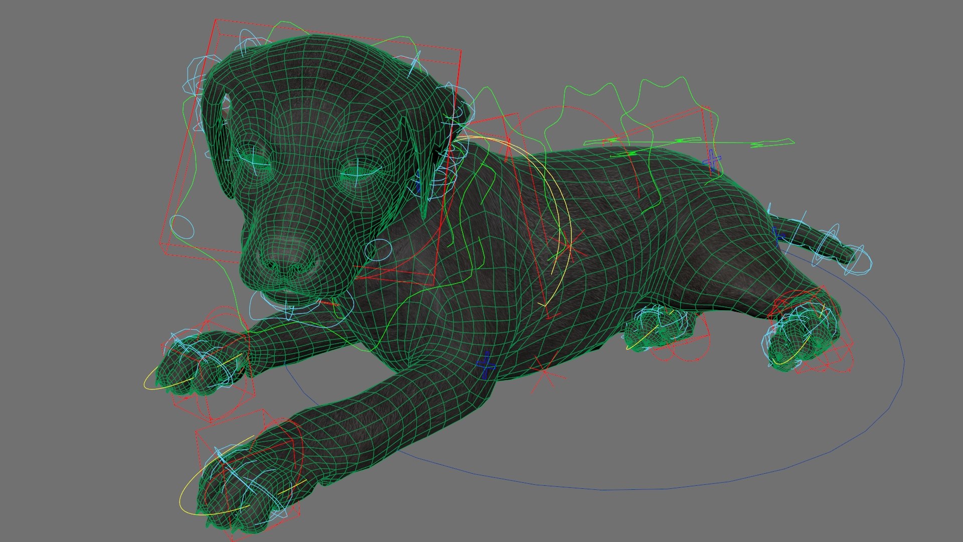 Labrador Retriever Puppy Idle Fur Animated Rigged For Maya model https://p.turbosquid.com/ts-thumb/Ei/bzRHMt/4M/labrador_retriever_puppy_idle_fur_animated_rigged_for_maya_014/jpg/1773783572/1920x1080/fit_q87/5b311aa9a3a1ad8f1105f68551140189a0c2d04b/labrador_retriever_puppy_idle_fur_animated_rigged_for_maya_014.jpg