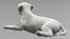 Labrador Retriever Puppy Idle Fur Animated Rigged For Maya