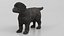 Labrador Retriever Puppy Idle Fur Animated Rigged For Maya