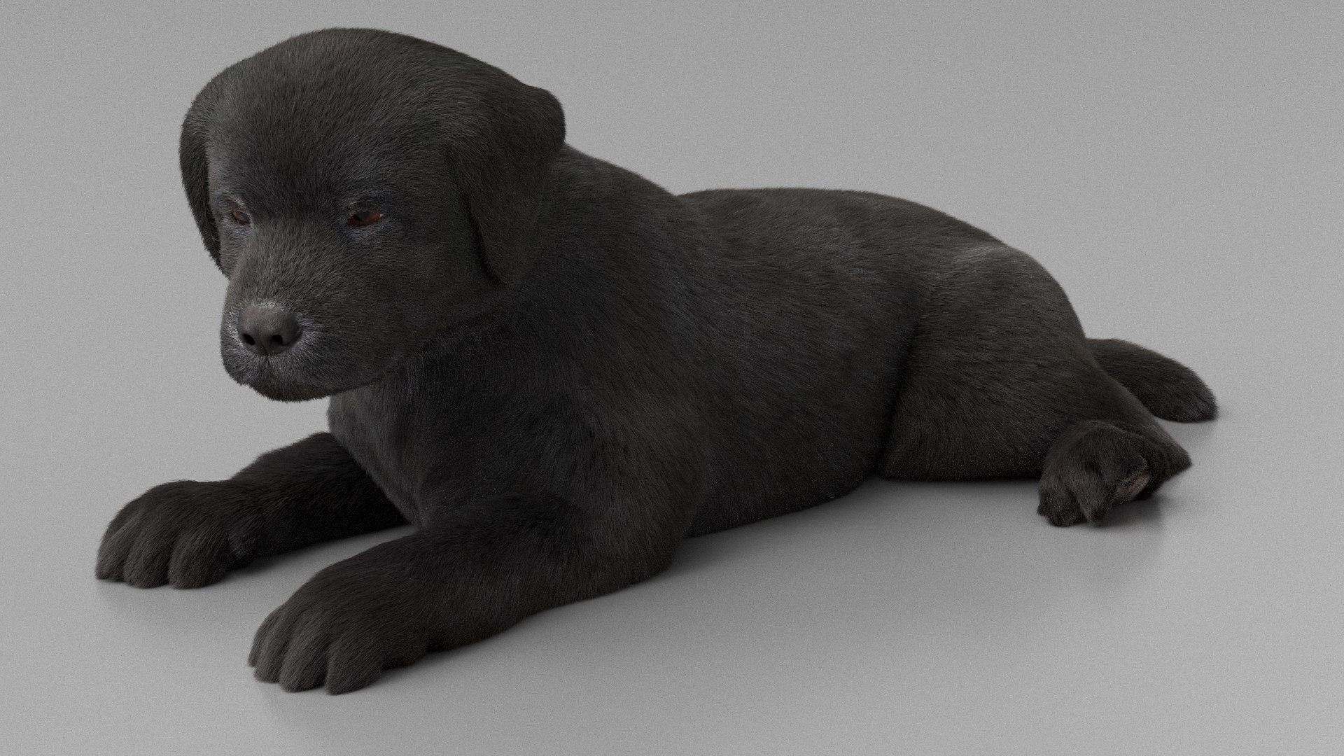 Labrador Retriever Puppy Idle Fur Animated Rigged For Maya model https://p.turbosquid.com/ts-thumb/Ei/bzRHMt/rj/labrador_retriever_puppy_idle_fur_animated_rigged_for_maya_006/jpg/1773783544/1920x1080/fit_q87/044f33e68ef28e154365bedeac47a095254cd4b9/labrador_retriever_puppy_idle_fur_animated_rigged_for_maya_006.jpg