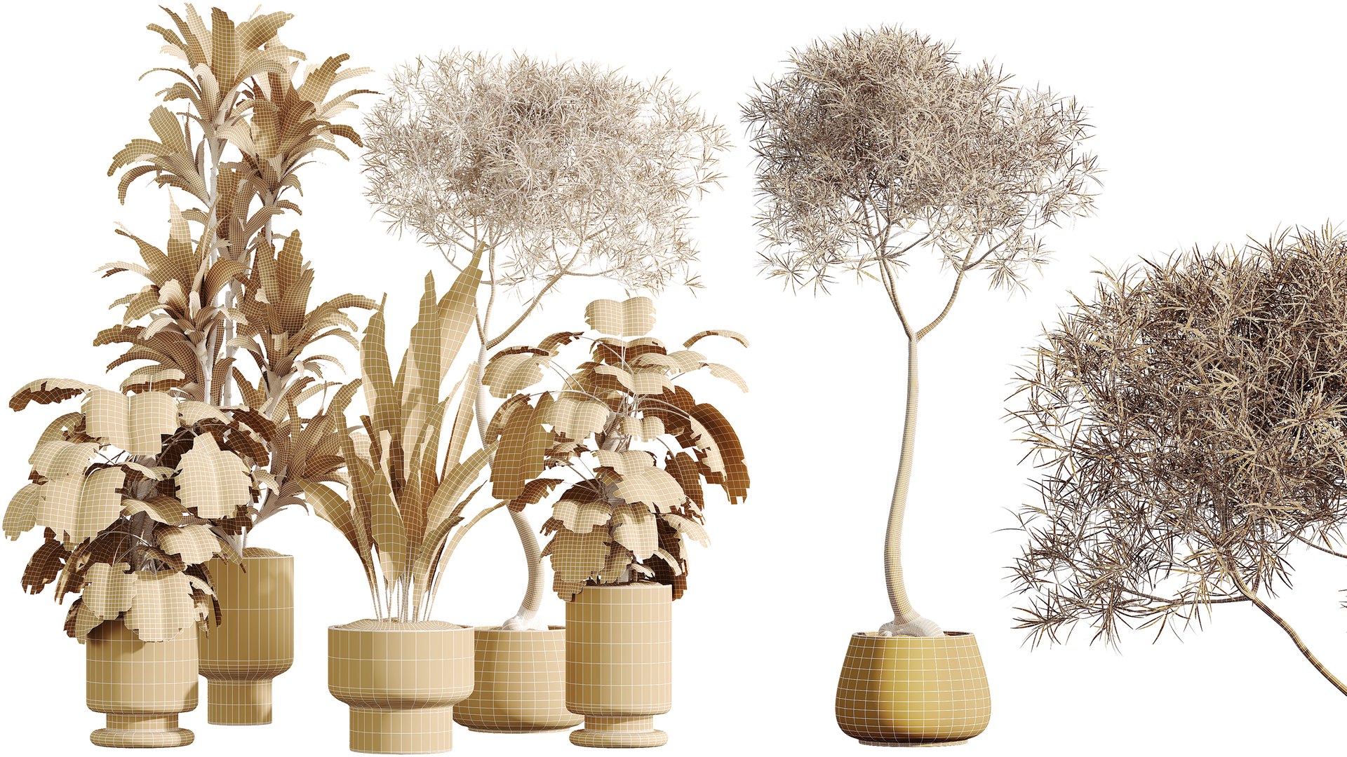 3D AV Indoor Plants Set 372 Monstera and Aspidistra and Japandi and Dracaena Warneckii model https://p.turbosquid.com/ts-thumb/Ei/gNCzL5/KA/07/png/1759385274/1920x1080/fit_q87/43406955c70f75ec52802fdd61f5e28247e82e4b/07.jpg