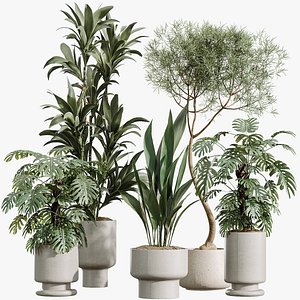 3D AV Indoor Plants Set 372 Monstera and Aspidistra and Japandi and Dracaena Warneckii model