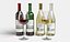 Wine Bottle and Glass Set