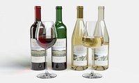Wine Bottle and Glass Set