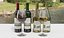 Wine Bottle and Glass Set