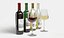 Wine Bottle and Glass Set