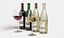 Wine Bottle and Glass Set