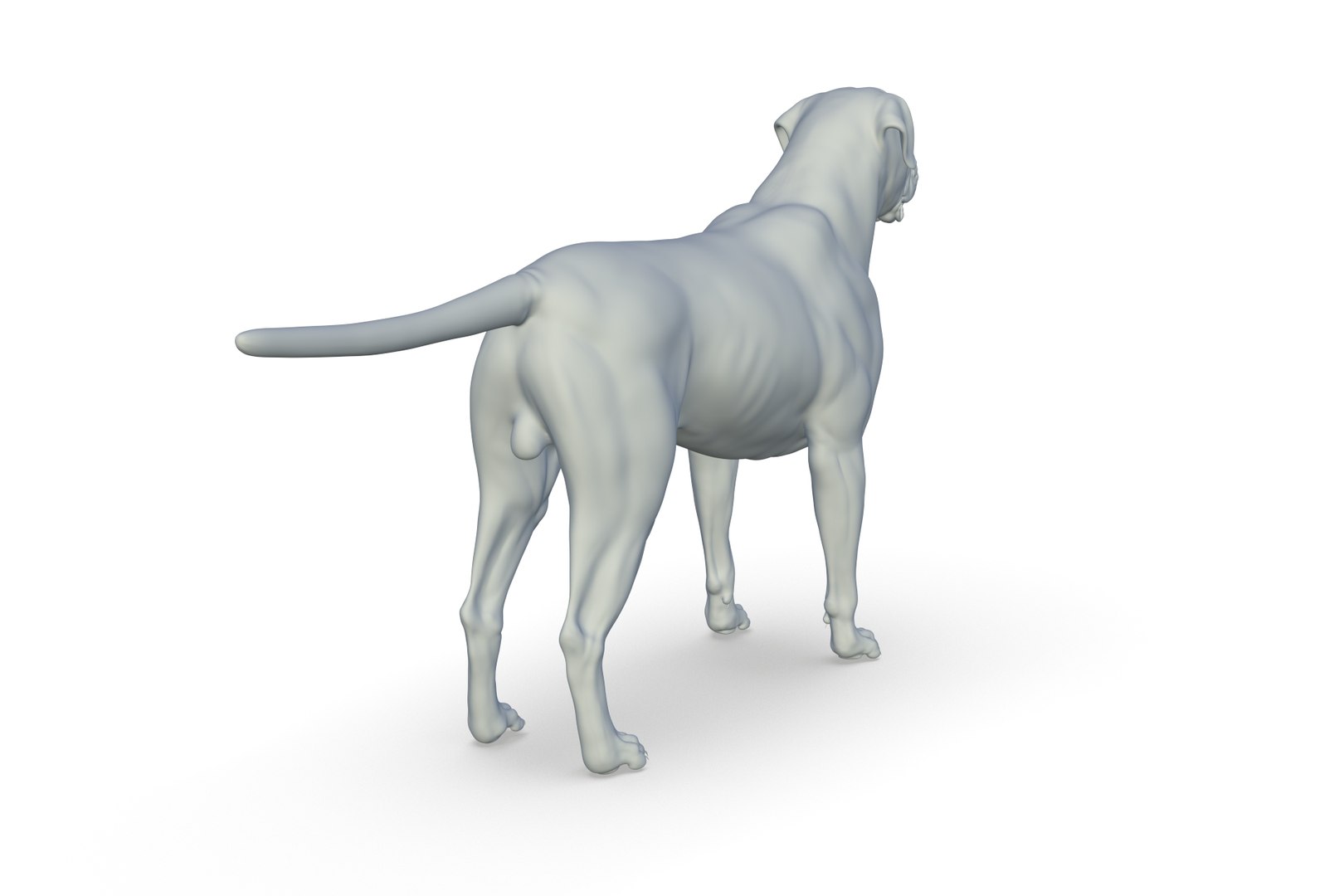 Cane Corso 3D model https://p.turbosquid.com/ts-thumb/Ei/mI6WRY/HV/render_07/jpg/1712495452/1920x1080/fit_q87/0f6c400128a65641ffe8105798c4b28919de3428/render_07.jpg