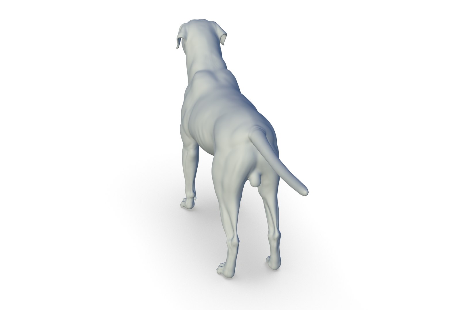 Cane Corso 3D model https://p.turbosquid.com/ts-thumb/Ei/mI6WRY/Ua/render_05/jpg/1712495452/1920x1080/fit_q87/e013d0fb0afae1b6f05cfacc09250423a5d42a79/render_05.jpg