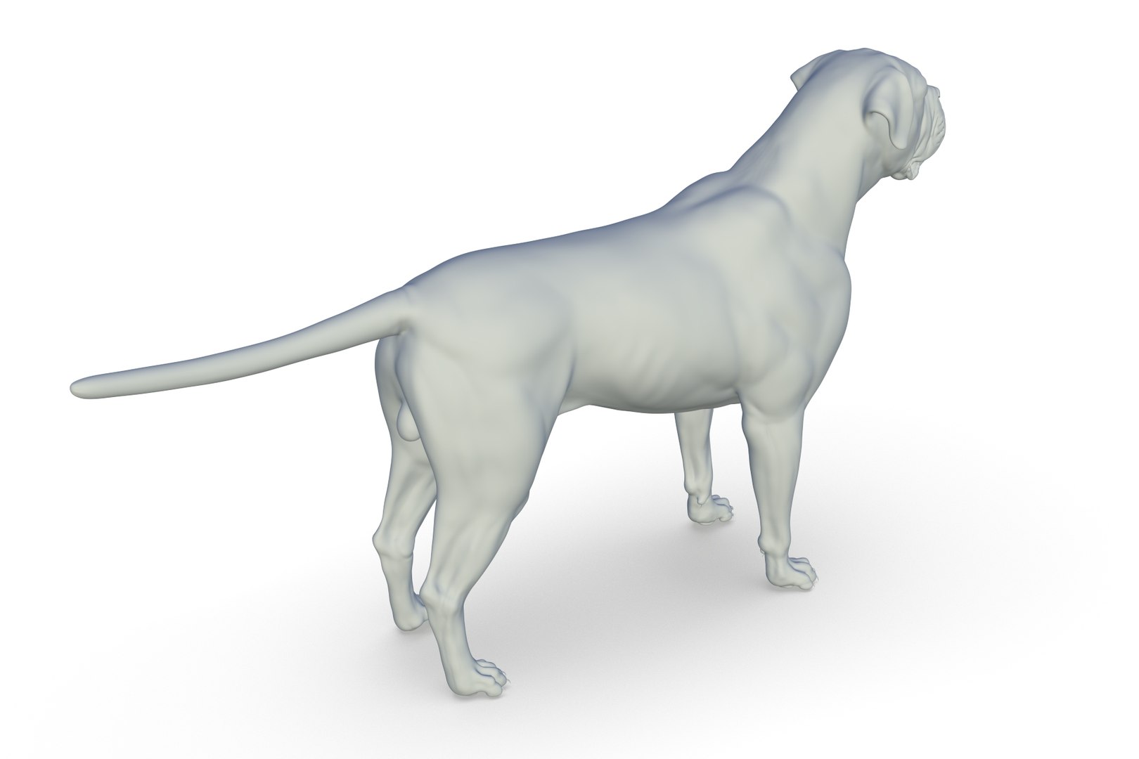 Cane Corso 3D model https://p.turbosquid.com/ts-thumb/Ei/mI6WRY/kz/render_08/jpg/1712495455/1920x1080/fit_q87/3c6c4b75b71ab9cc650cb05327207fdd4bedc13d/render_08.jpg