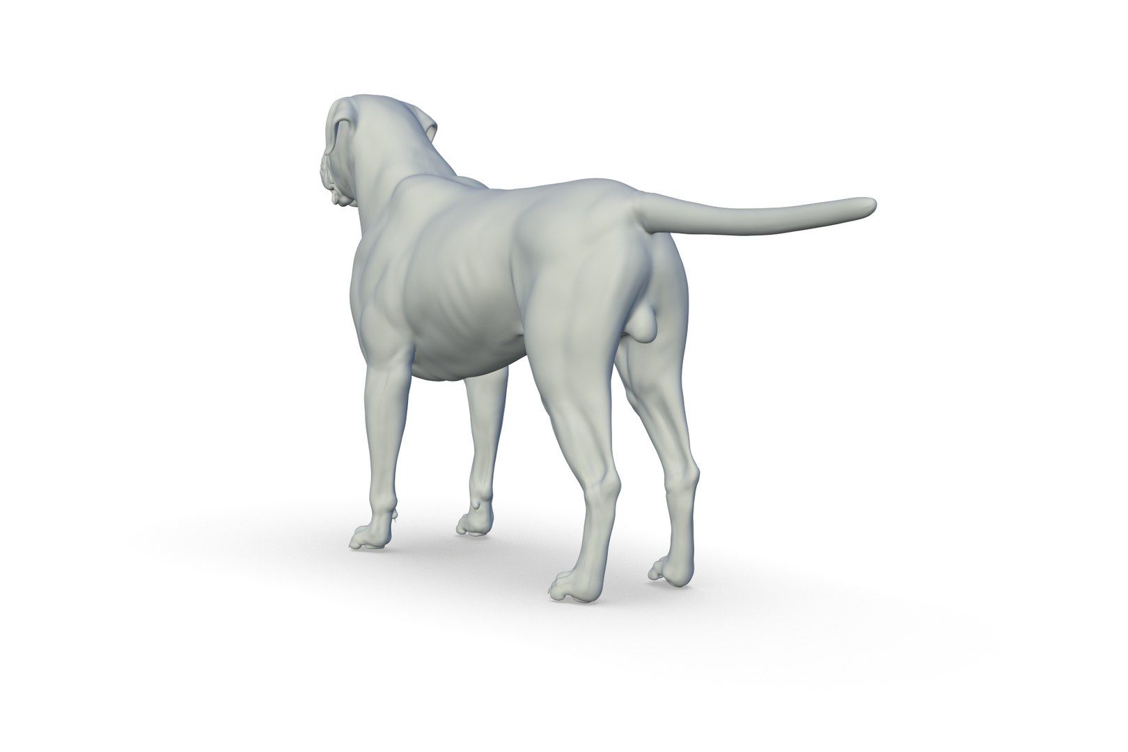 Cane Corso 3D model https://p.turbosquid.com/ts-thumb/Ei/mI6WRY/zi/render_04/jpg/1712495451/1920x1080/fit_q87/ecbde1a28e82d4c2af476e5e723e480cf4a7930d/render_04.jpg