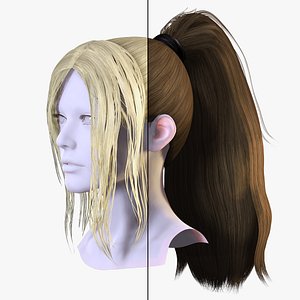 3D model High Ponytail with Front Locks -Render-Ready Character Hair