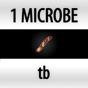 tb - mycobacterium tuberculosis