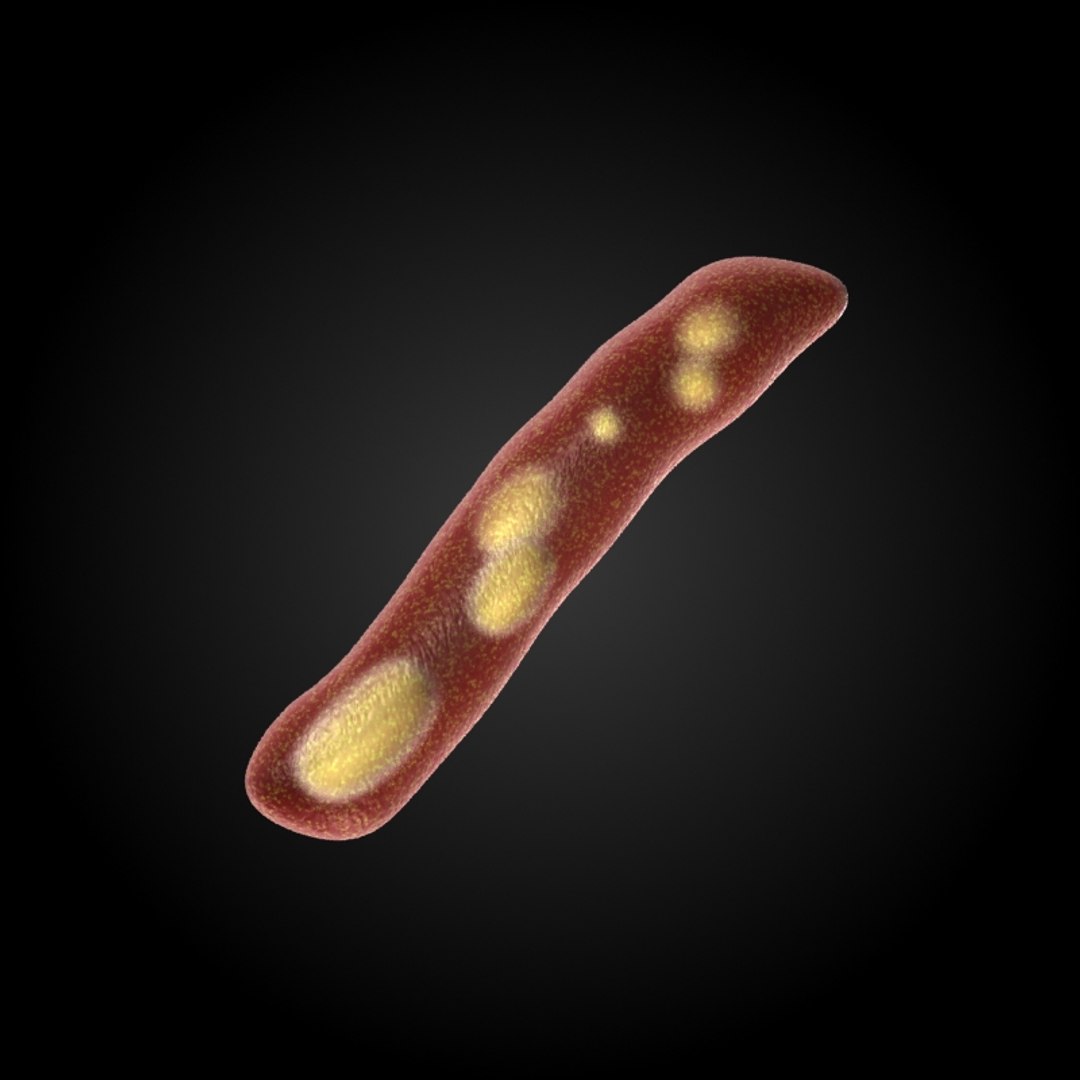 microbes micro organisms 3d model