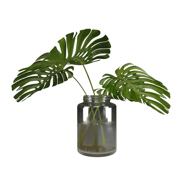 3D model adam s rib - TurboSquid 1604968