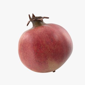 pomegranate fruit food 3D model