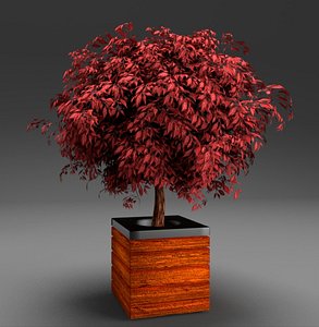 3ds red leaved potted tree