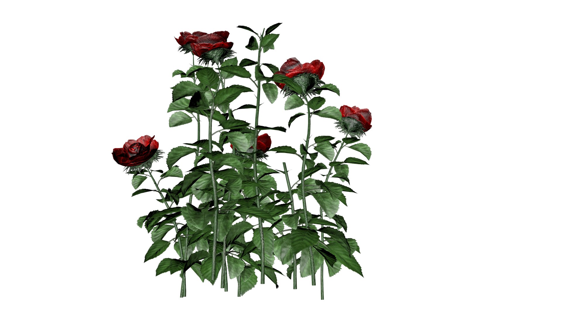 3D Red Rose Patch - 05 - https://p.turbosquid.com/ts-thumb/Ej/GwMHsg/4N/rrp_5/png/1741712242/1920x1080/fit_q87/e66412f32b64ee71942a33ded7b6f568e274c0b4/rrp_5.jpg