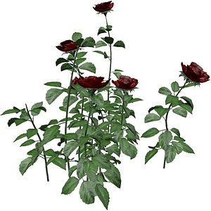 3D Red Rose Patch - 05 -