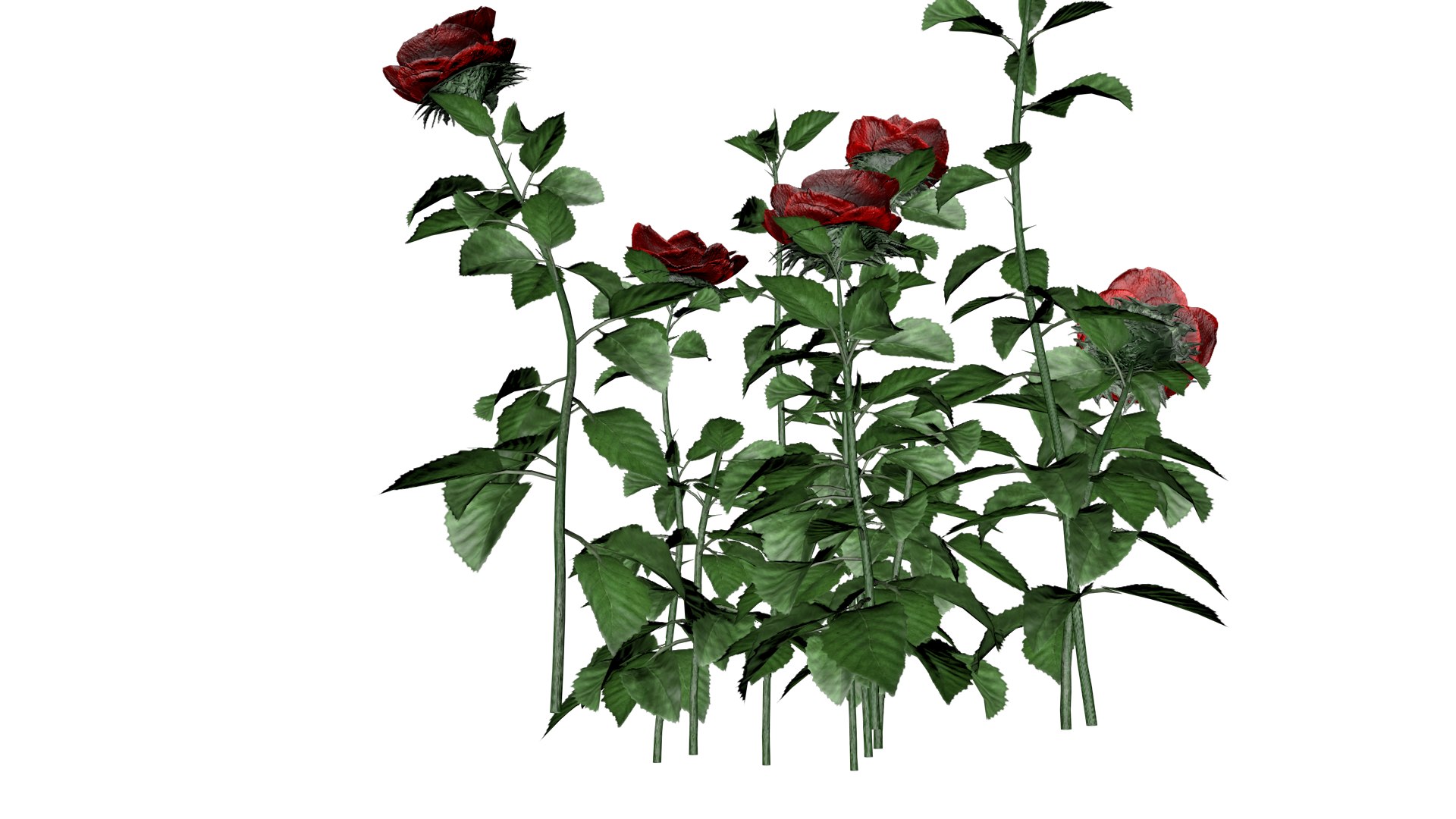 3D Red Rose Patch - 05 - https://p.turbosquid.com/ts-thumb/Ej/GwMHsg/hp/rrp_52/png/1741712243/1920x1080/fit_q87/6e8782fc9a6c7a9ac2f220d7c1a97199f689860c/rrp_52.jpg