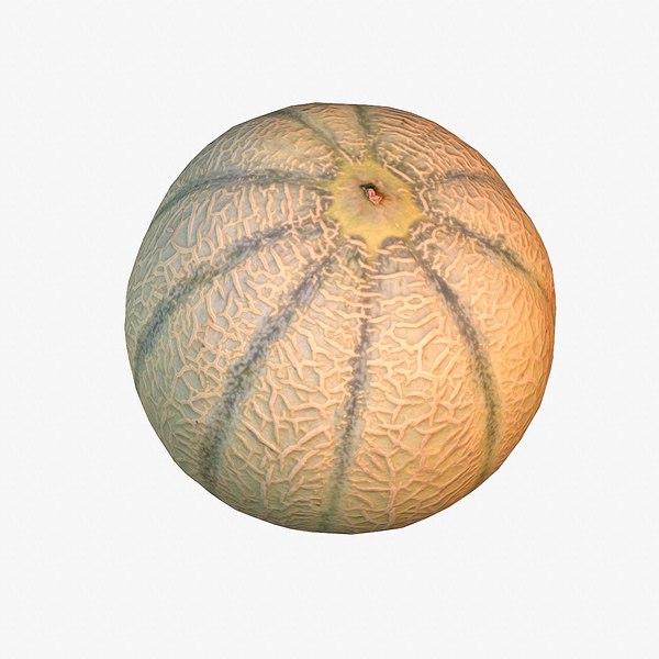 3D model Melon low poly 3D model