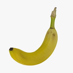 banana 03 raw scan 3D