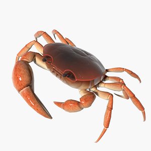 3dsmax crab fresh water