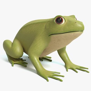 Cartoon Frog