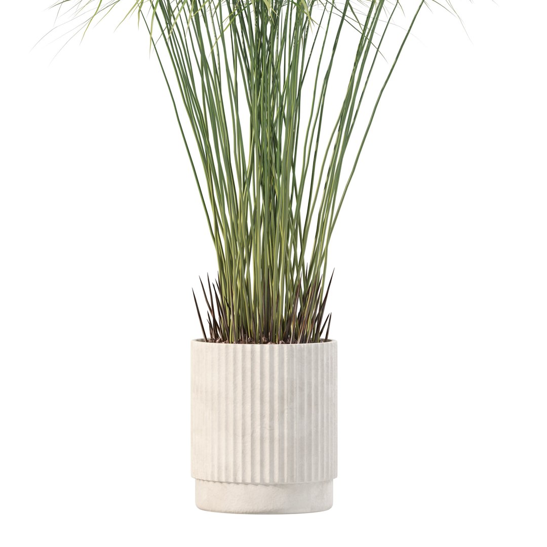 Plants collection 218 - palm grass cactus papirus 3D https://p.turbosquid.com/ts-thumb/Ej/vJ4OZF/29/6/jpg/1718784279/1920x1080/fit_q87/2d2c08fb2f3ed2400479d9ed4c55fbf1da4d9881/6.jpg