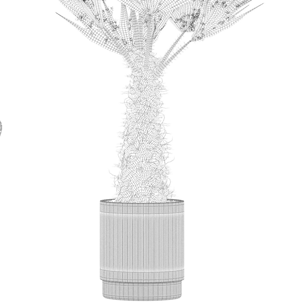 Plants collection 218 - palm grass cactus papirus 3D https://p.turbosquid.com/ts-thumb/Ej/vJ4OZF/70/18/jpg/1718784300/1920x1080/fit_q87/6ee19c692081fbb4127d6e99b8cc39b76ca4891f/18.jpg