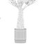 5 Minimalist Ceramic Potted Sansevieria and Calathea Plants - Set 218