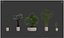 5 Minimalist Ceramic Potted Sansevieria and Calathea Plants - Set 218